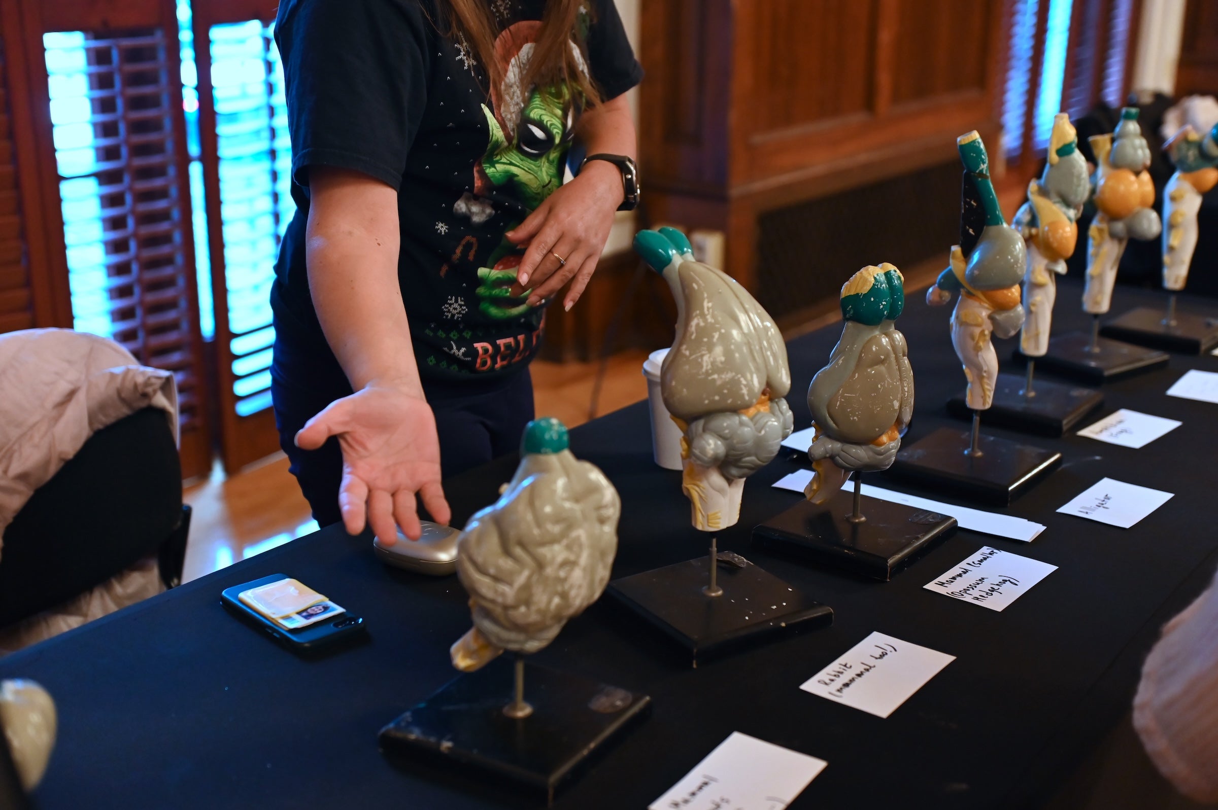 A person standing behind a table with different models of brains points out information for an onlooker.